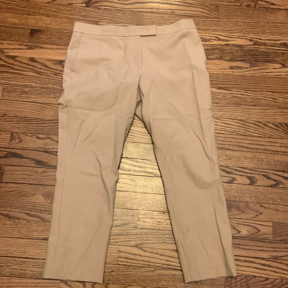 Ann Taylor Devin Fit Dress Pants